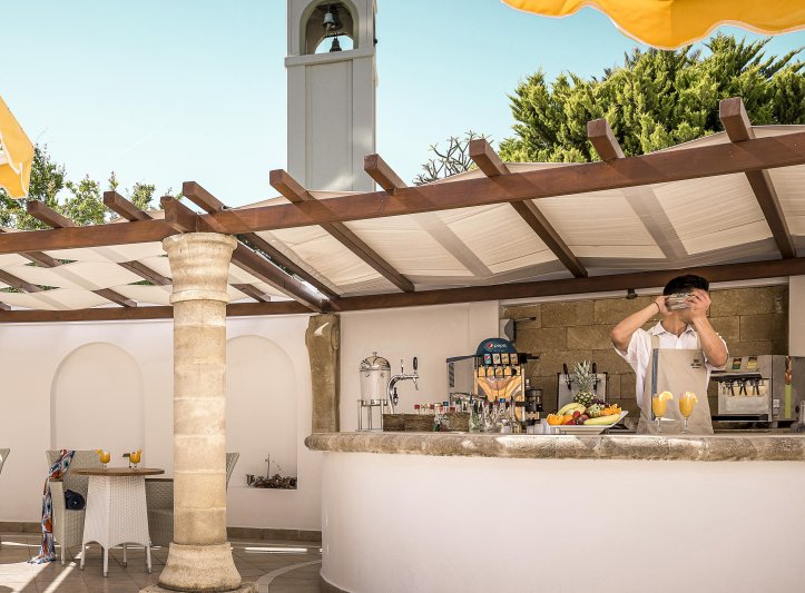 Rodosz utazás Canvas By Mitsis Petit Palais