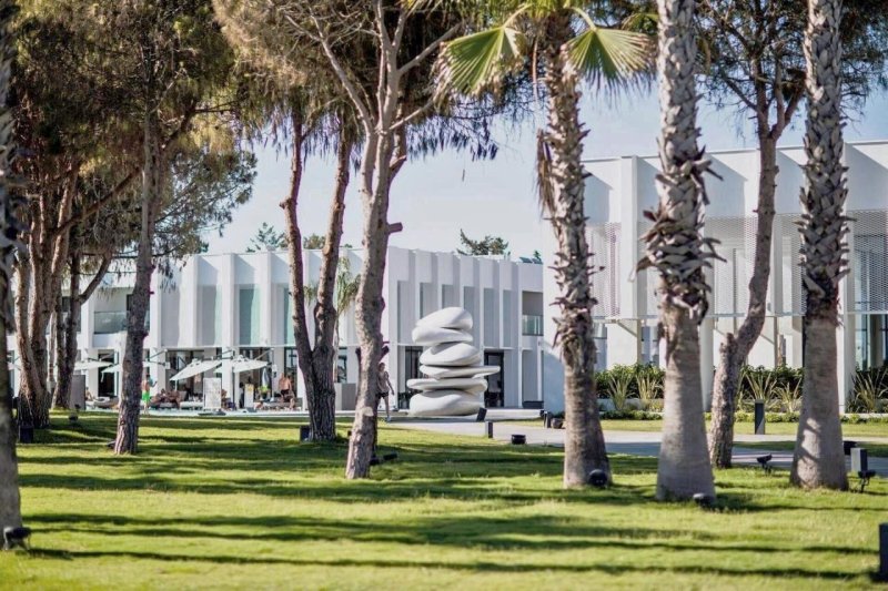 Side utazás Paloma Finesse