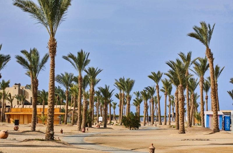 Marsa Alam utazás Pickalbatros Albatros Palace Port Ghalib