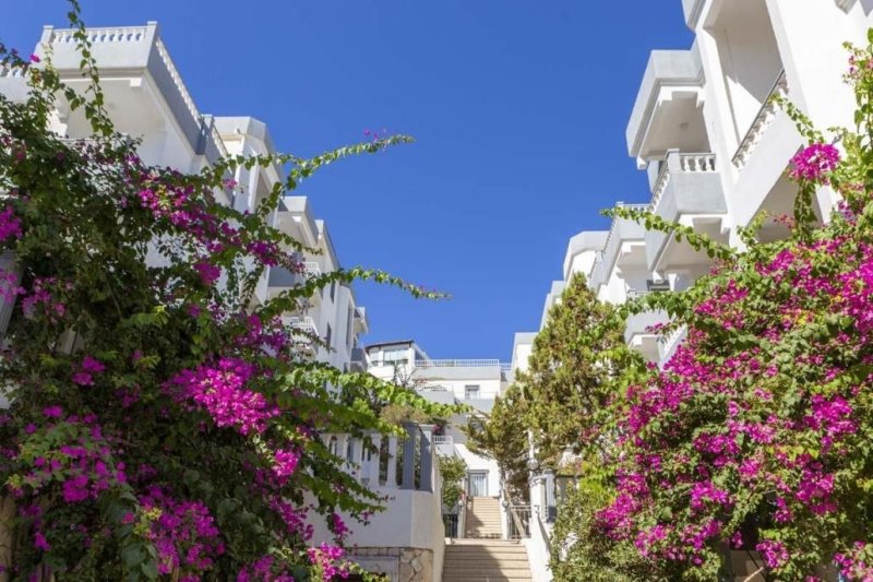 Bodrum utazás Smart Holiday Hotel