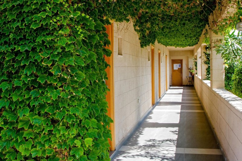 Rodosz utazás Sun Palace