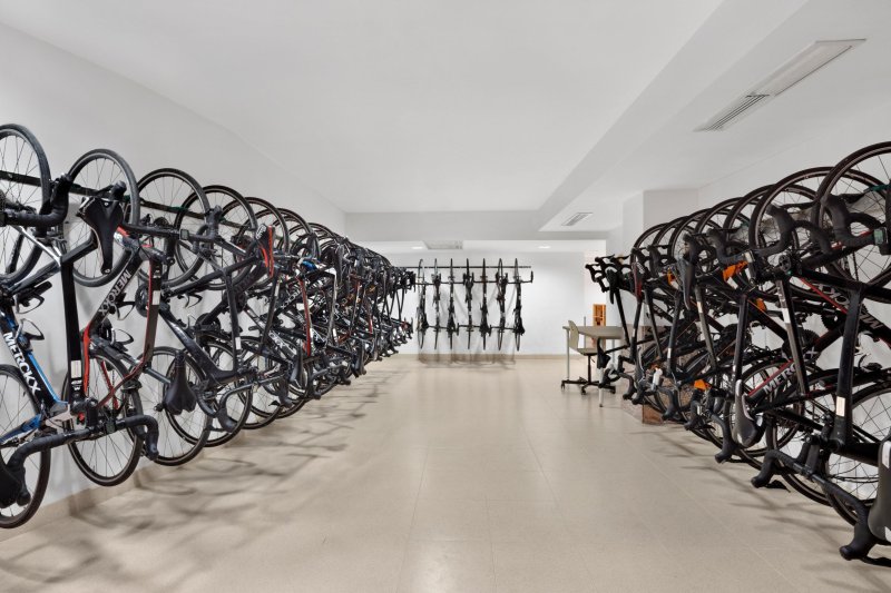 Mallorca utazás Thb El Cid