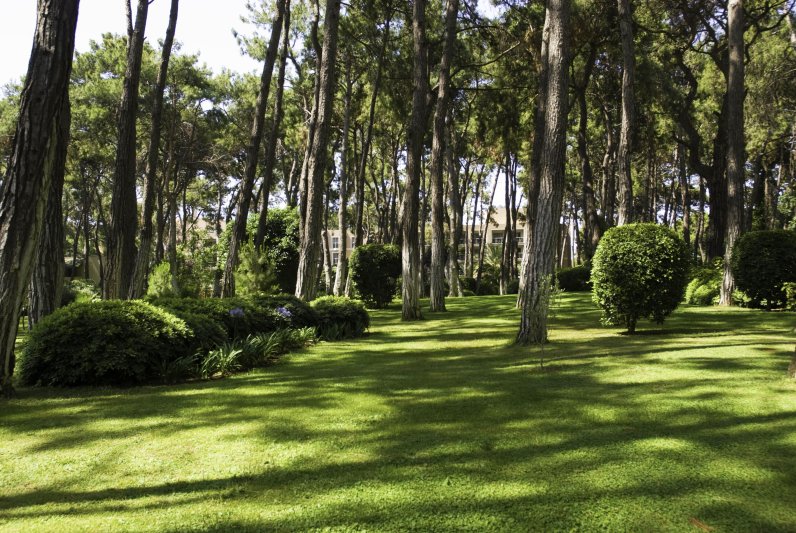 Side utazás Turquoise