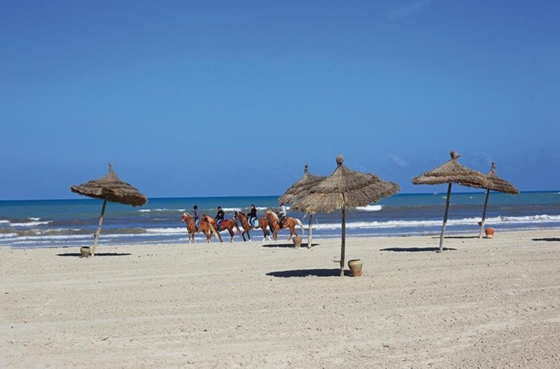 Djerba utazás Venice Beach