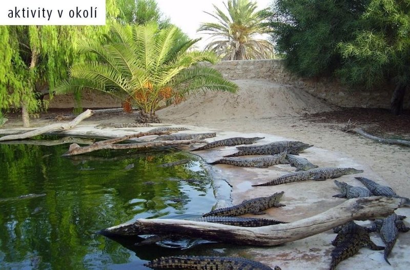 Djerba utazás Zephir Hotel & Spa