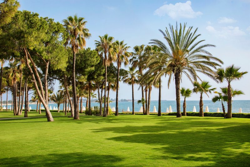 Acanthus & Cennet Barut Collection Side