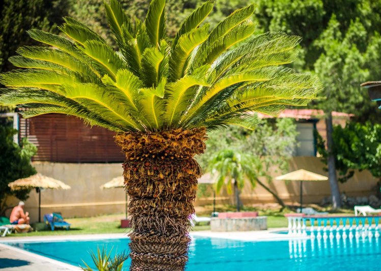 Rodosz utazás Achousa