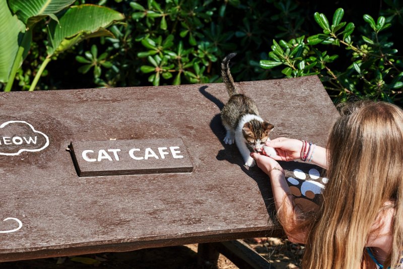 Kelet-Kréta utazás Agapi Beach Resort