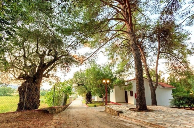 Zakynthos utazás Alykes Park