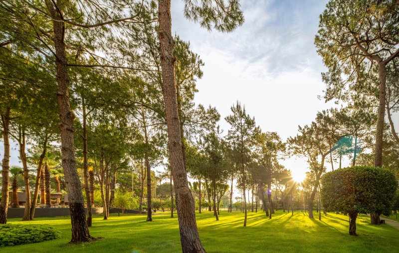 Kemer utazás Balmy Foresta