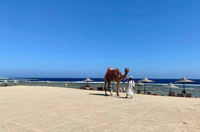 Marsa Alam utazás Bliss Nada Beach Resort