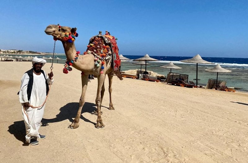 Marsa Alam utazás Bliss Nada Beach Resort