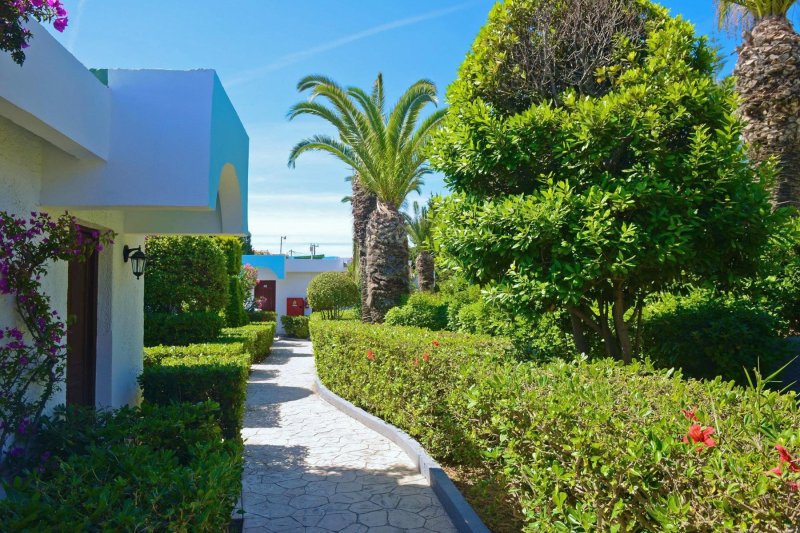 Rodosz Ialyssos utazás D Andrea Mare Beach