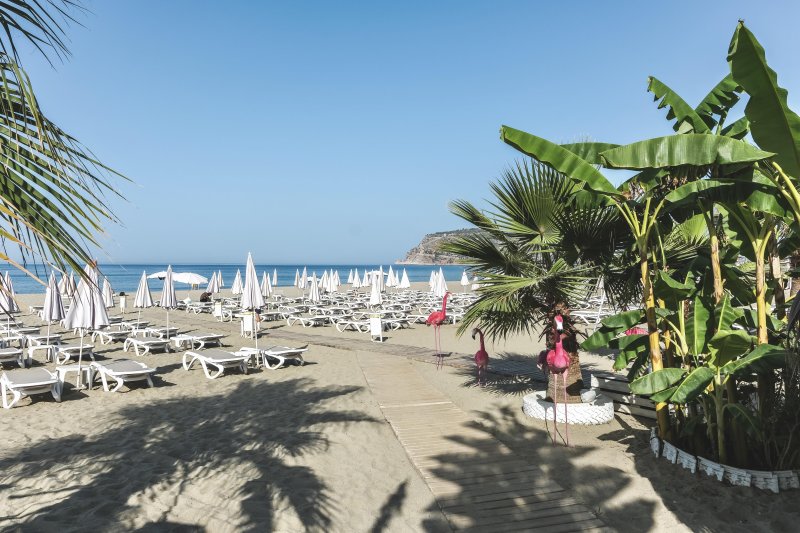 Blue Wave Suite Hotel Alanya