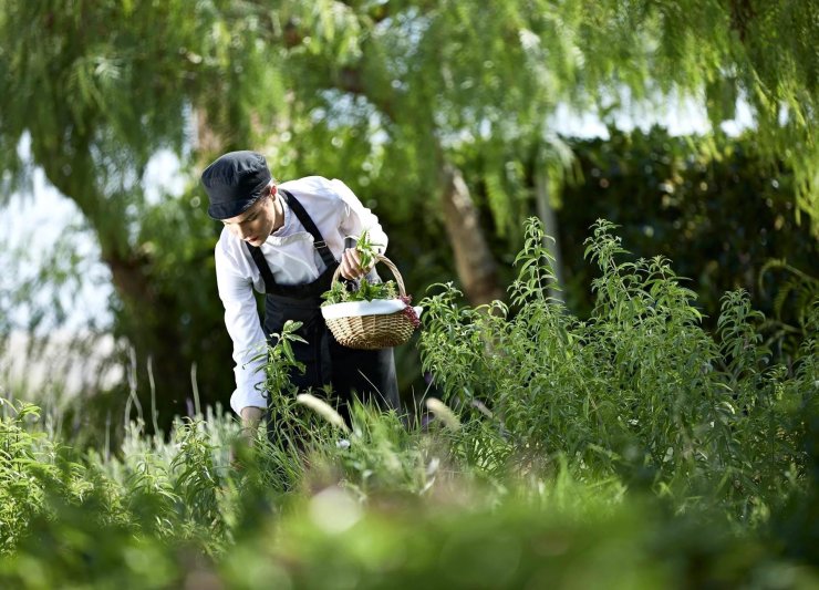 Rodosz Kiotari utazás Boutique