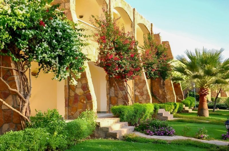 Brayka Bay Reef Marsa Alam
