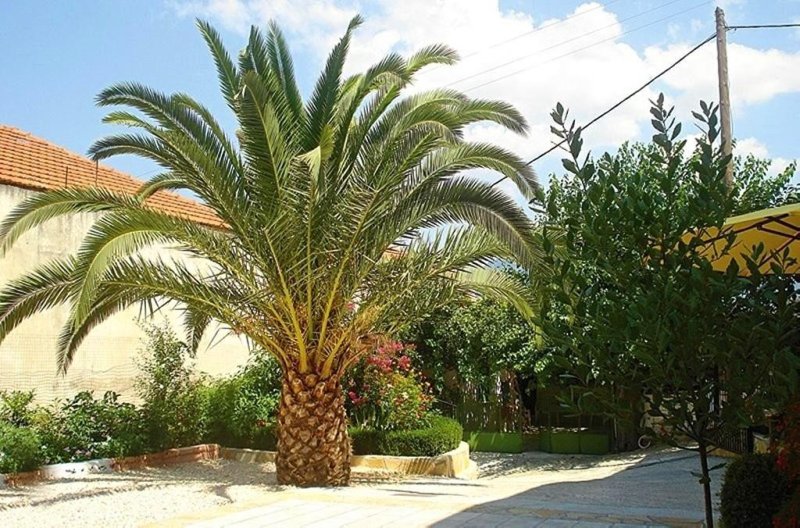 Captain s Studios Lefkada-sziget