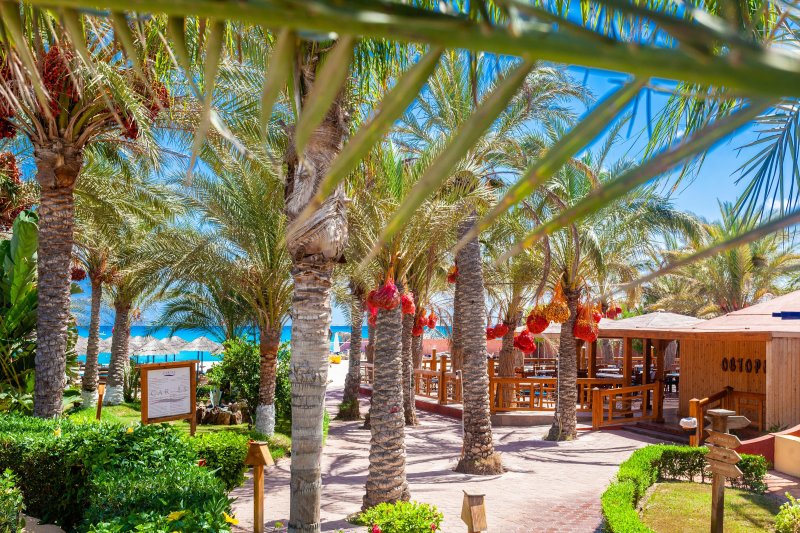 Marsa Matruh utazás Carols Beau Rivage