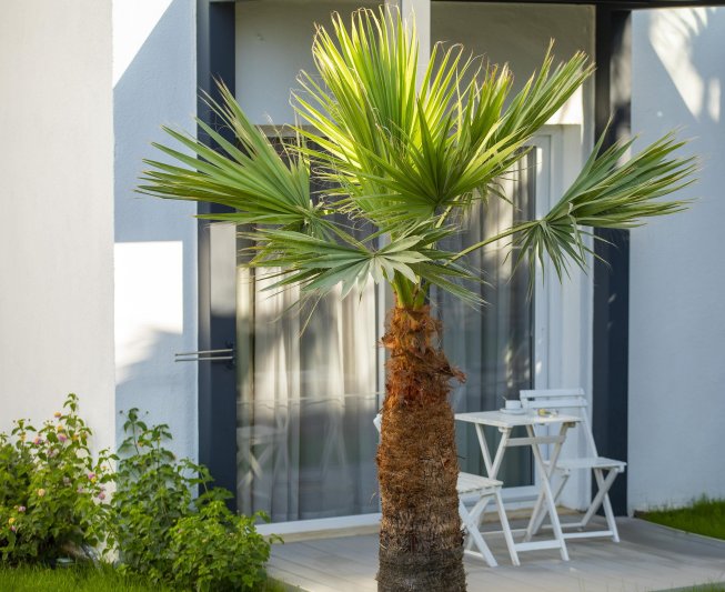 Charm Beach Hotel Bodrum