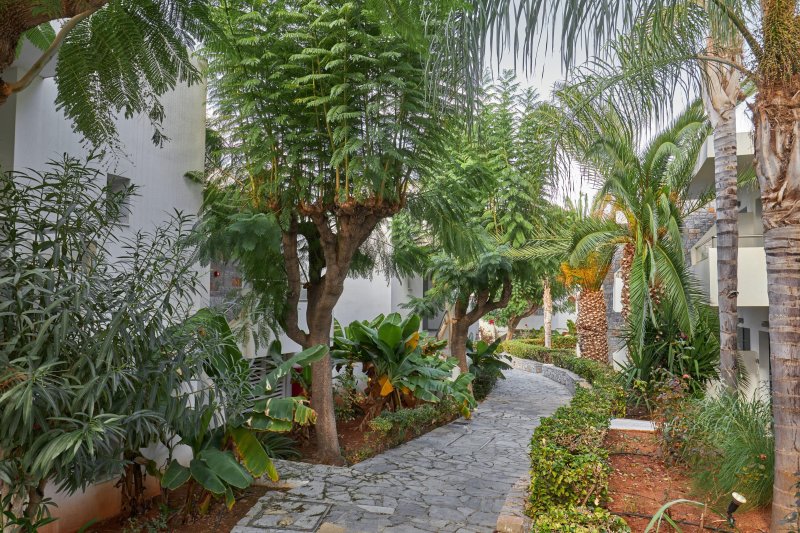 Kréta Malia utazás Cooee Kyknos Beach