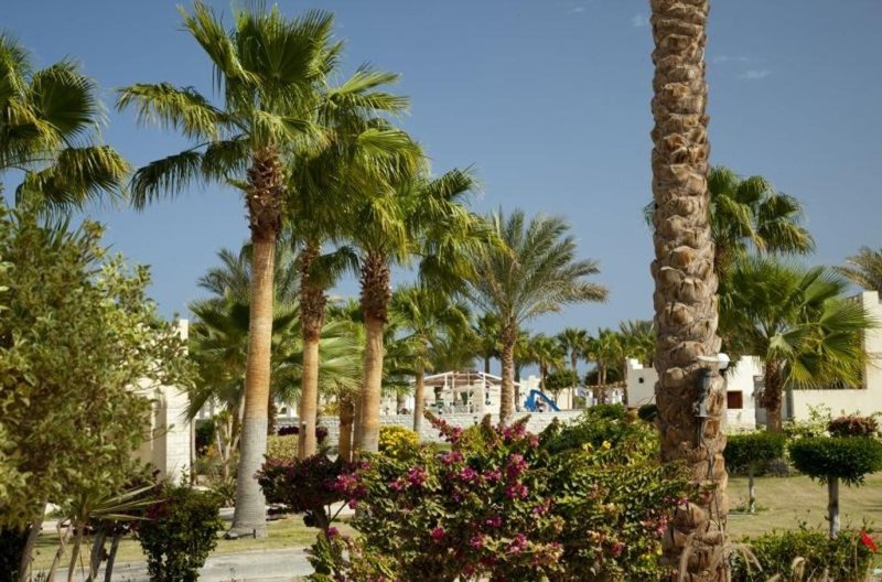 Sunrise Juman Beach Resort Ex. Coral Beach Hurghada