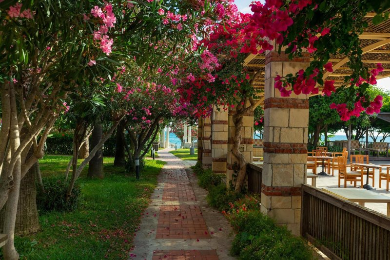 Side utazás Defne Star