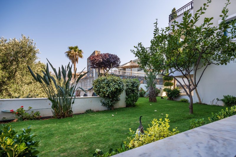 Kréta Agia Marina utazás Dias Hotel & Apartments