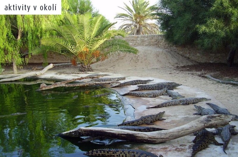 Djerba utazás Eden Star