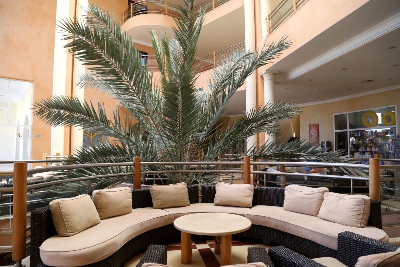 Eden Star Djerba