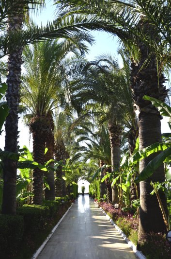 Kemer utazás Emelda Sun Club (ex. Sun Club)