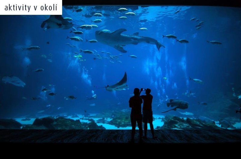 Mallorca utazás Flamboyan Caribe