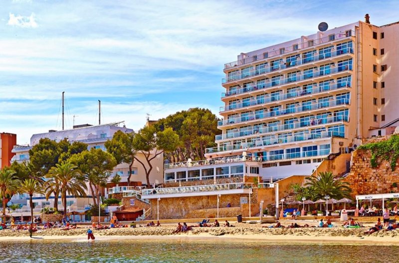 Flamboyan Caribe Mallorca