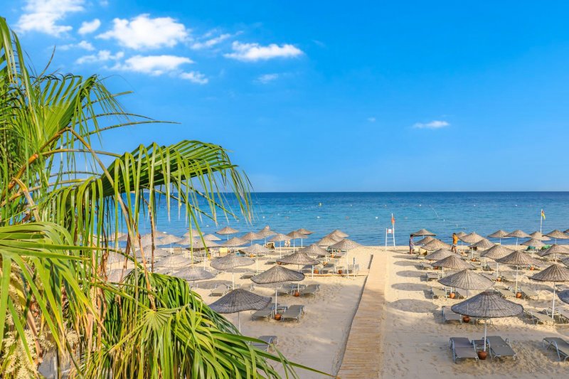 Kusadasi utazás Flora Garden Ephesus