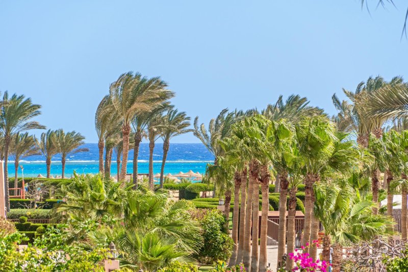 Marsa Alam utazás Gemma Resort