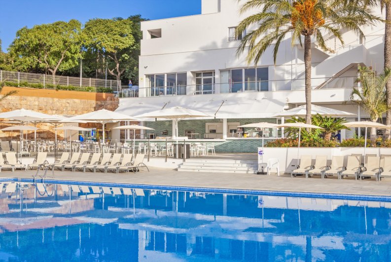Globales Mimosa Mallorca