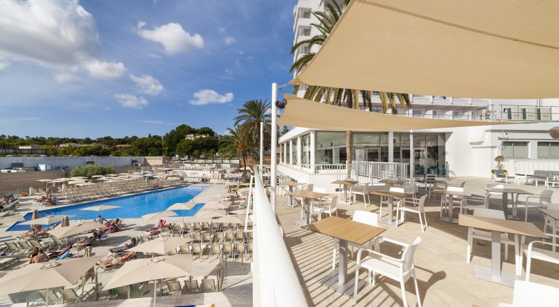 Globales Mimosa Mallorca