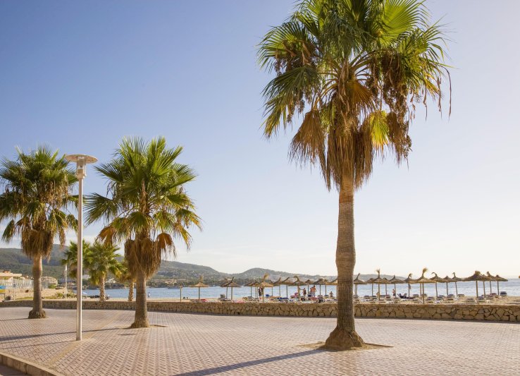 Mallorca utazás Globales Panama 