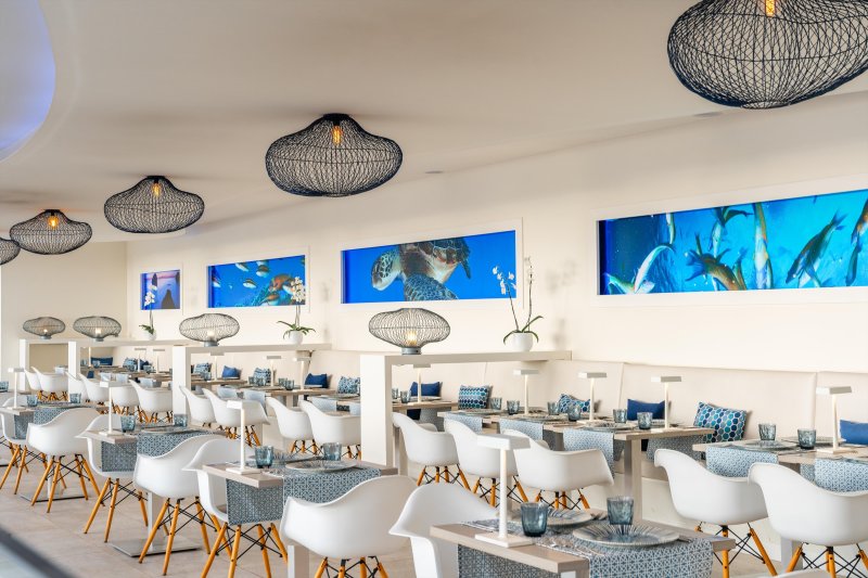 Tenerife utazás Hovima Costa Adeje