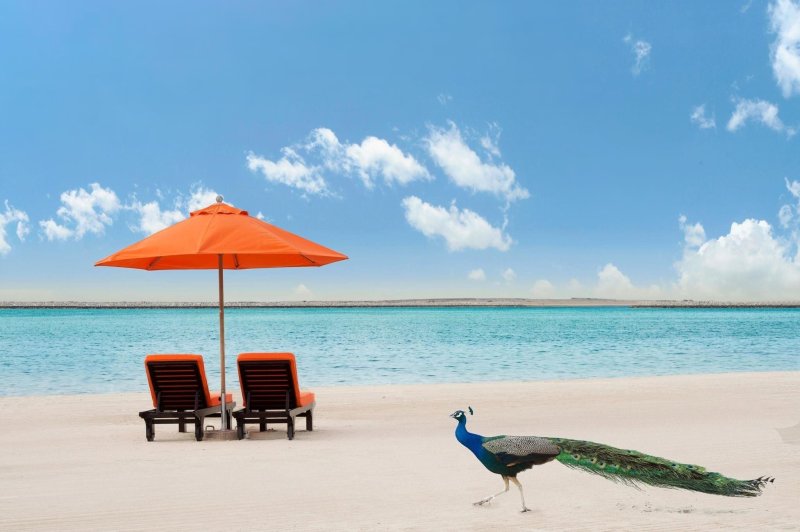 Dubai utazás Ja Beach