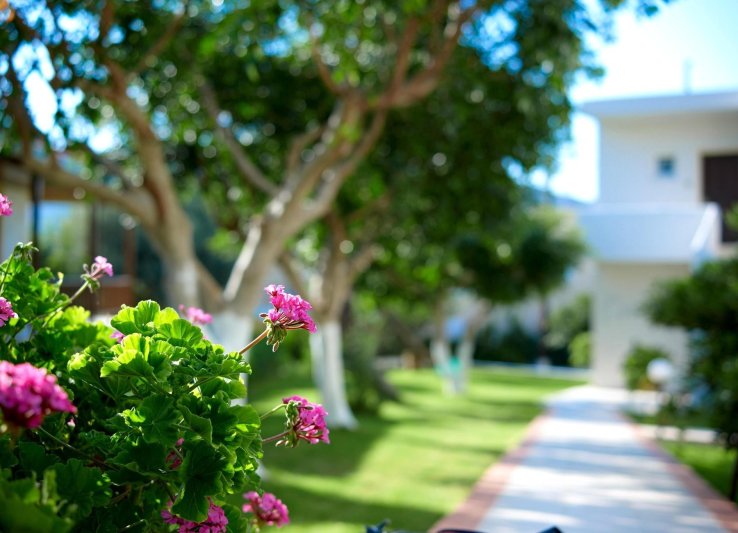 Katrin Hotel & Bungalows Kréta Stalis