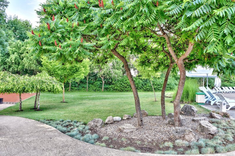 Napospart utazás Les Magnolias