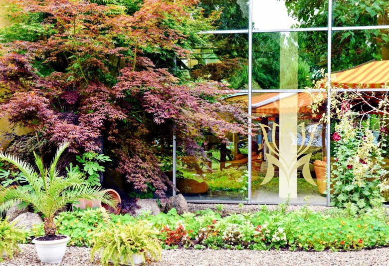 Napospart utazás Les Magnolias