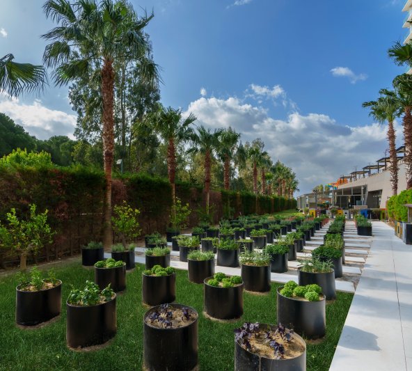 Kusadasi utazás Liberty Golf & Resort Kusadasi