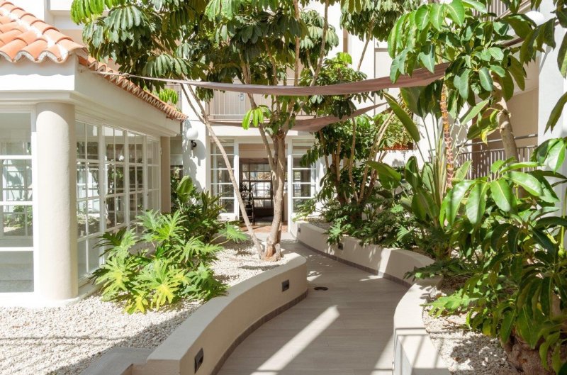 Tenerife Costa Adeje utazás Los Olivos