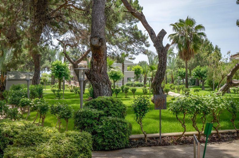 Side utazás Master Family Club