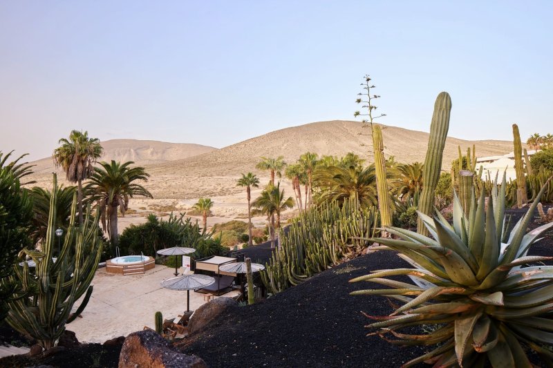 Fuerteventura utazás Meliá Fuerteventura