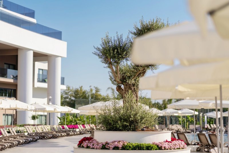 Antalya utazás Miracle Resort