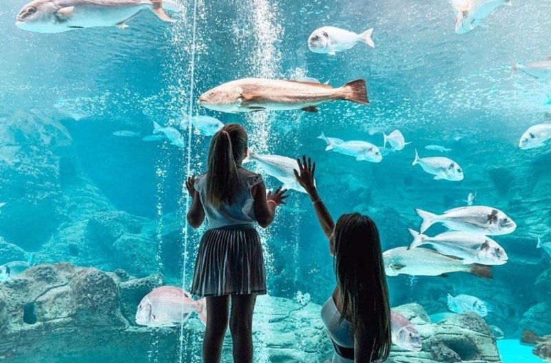 Kréta utazás Mitsis Laguna Resort & Spa