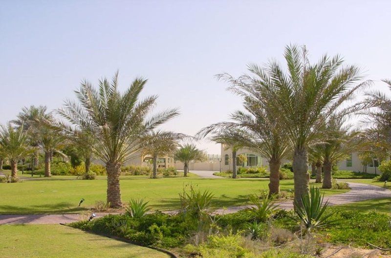 Ajman utazás Mm Al Quwain Beach Hotel