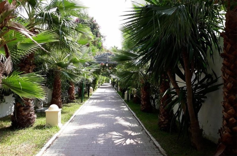 Hammamet utazás Nesrine